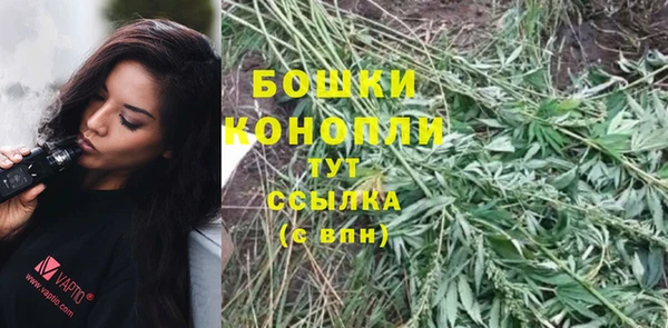 гидропоника Балабаново