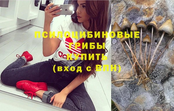гидропоника Балабаново