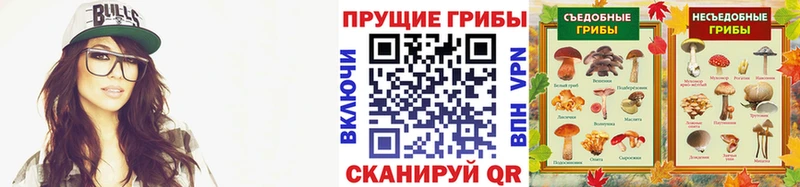 Галлюциногенные грибы Psilocybe  наркота  Магас 